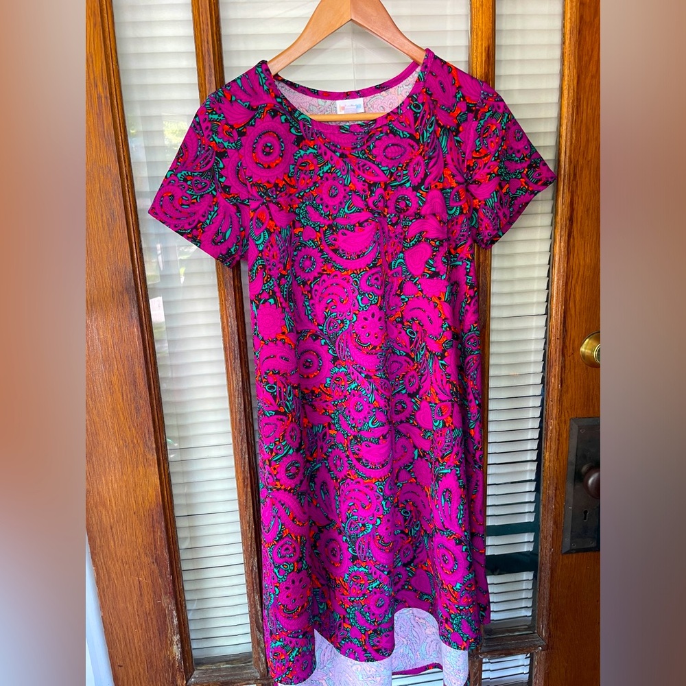 Women LulaRoe high low dress